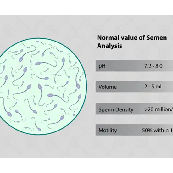 semen culture and sensitivity test